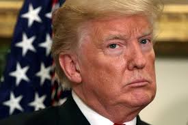 PoliticsVideoChannel tweet media