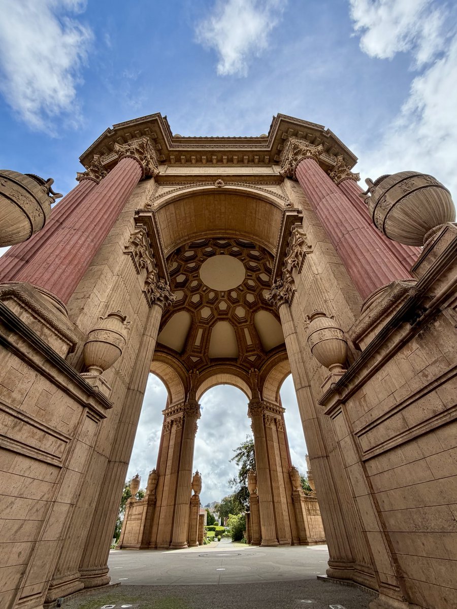 FLON KOREA tweet media