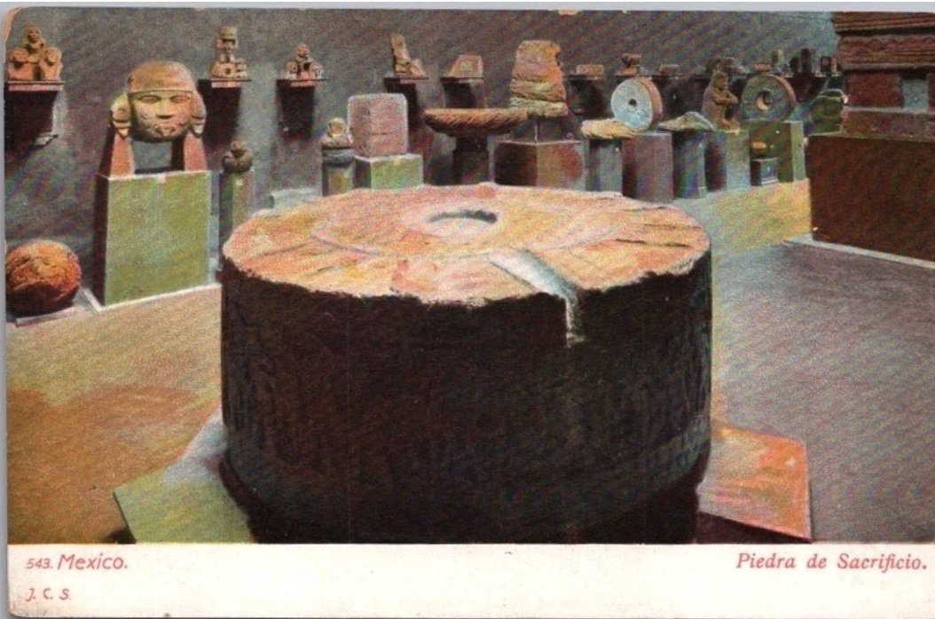 La piedra de Tízoc.
Viejo Museo Nacional.