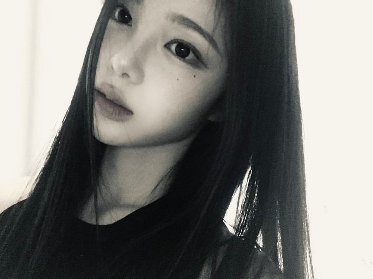 Woodsy Corner. tweet media