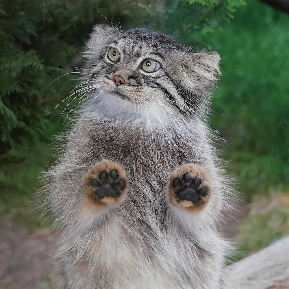 𝓶𝓪𝓴𝓴𝔂 tweet media