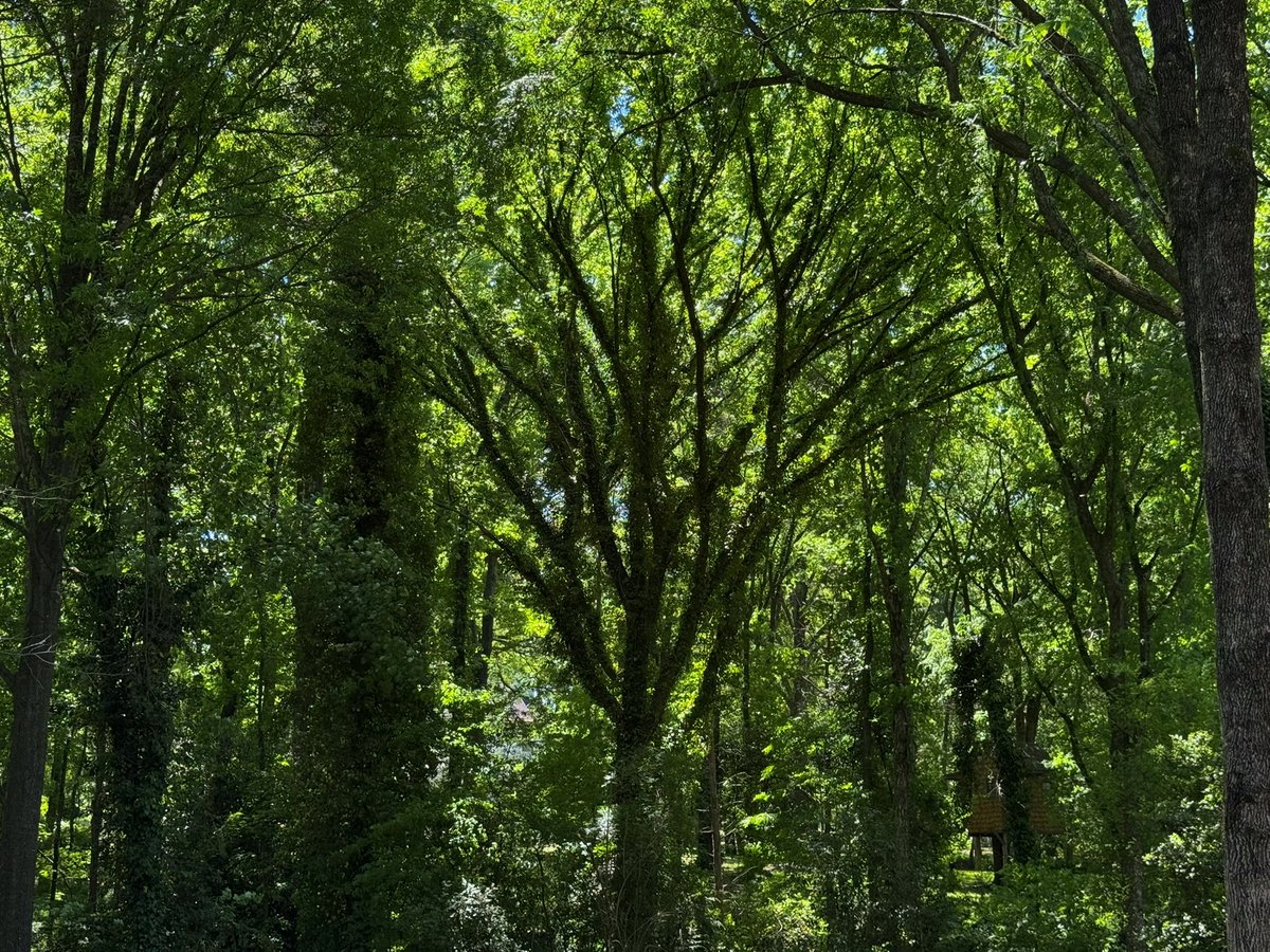 Appalachian Life tweet media