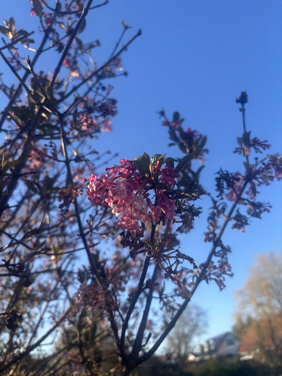 “Bize hicran düştü kıl ki ezelde
Levh'üzre ismimiz karalanınca.”🌿
