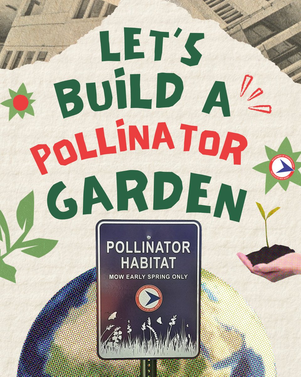 NewJerseyDOT's tweet image. Happy #EarthDay! Pollinator Habitats along #NJ highways support native species and improve our environment. If you’re looking for a way to add color to your environment, consider building a pollinator garden with these easy steps.