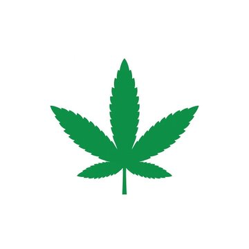 Polymarket Money tweet media