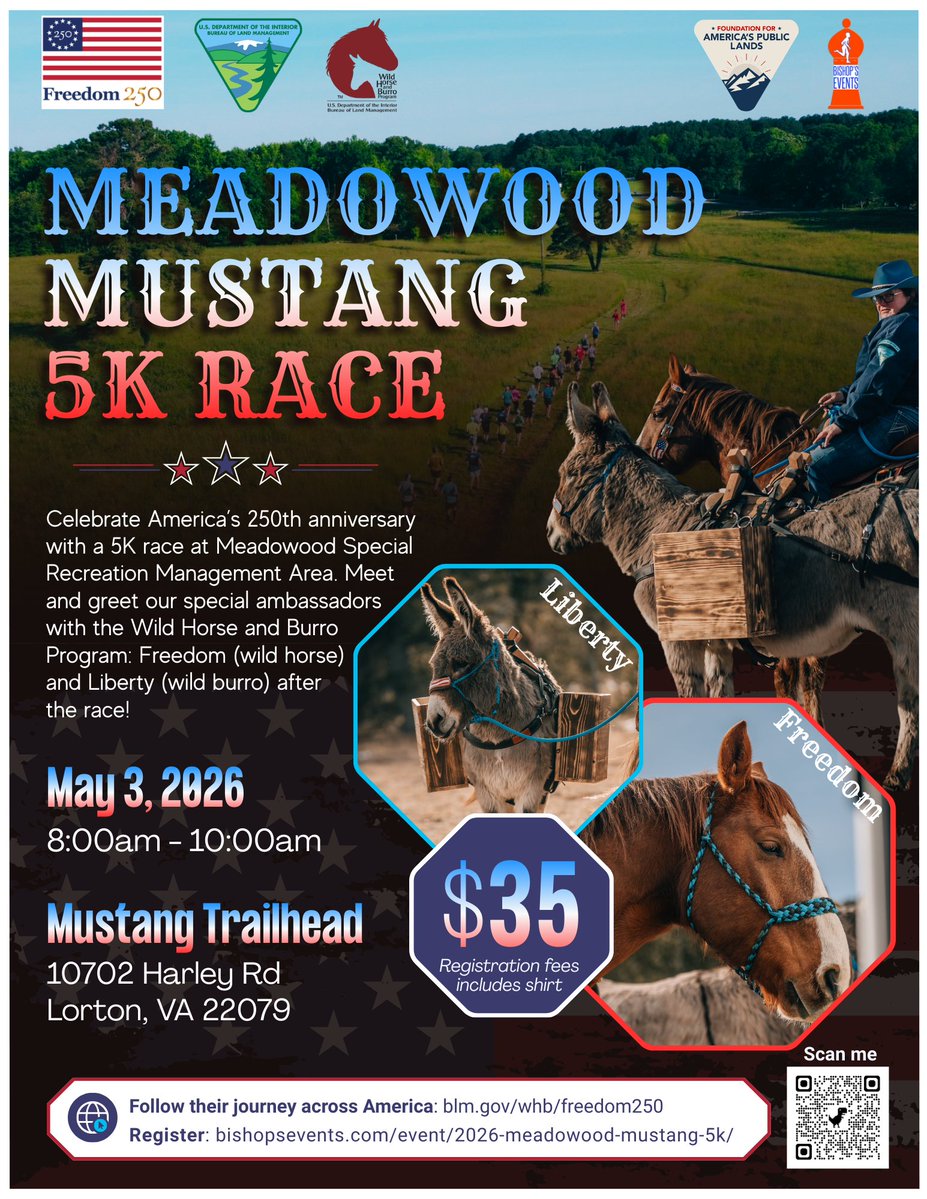 BLM_ES's tweet image. Run wild at the Meadowood Mustang 5K on May 3, 8 a.m. at Mustang Trailhead! 🏃‍♂️🌳 

Support America’s mustangs &amp;amp; the BLM Wild Horse &amp;amp; Burro Program! Meet Freedom &amp;amp; Liberty after the race. 🐎🫏✨

Learn more and register: ow.ly/PSWI50YLeMn