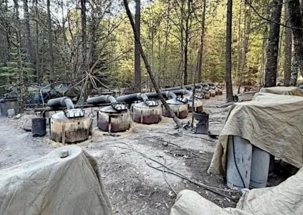 ADICTIVO RADIO tweet media