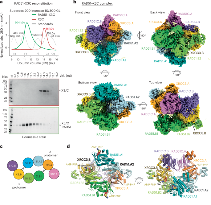 NatureStructMolBiol tweet media