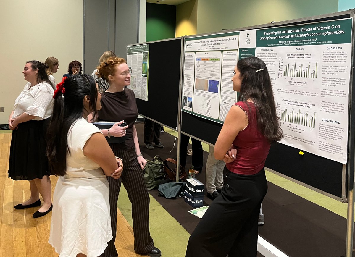 USF Research tweet media