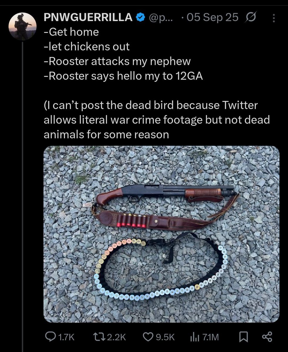 captive dreamer tweet media