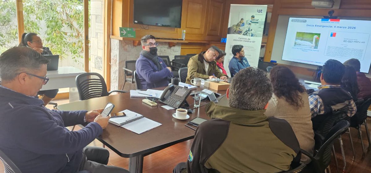 Senapred Coquimbo tweet media