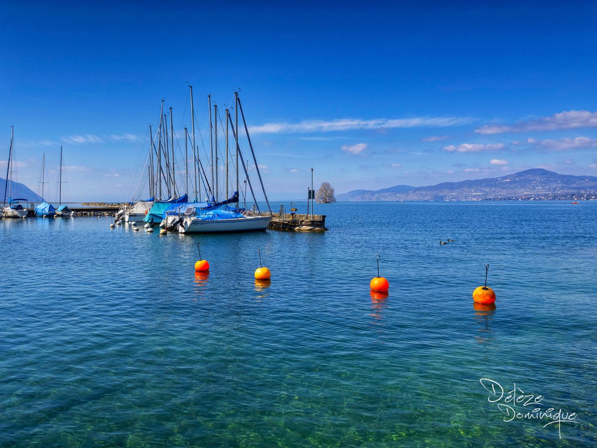 DelezeD's tweet image. Ambiance printanière au bord du lac Léman 🌺🌼⛵️🇨🇭
Villeneuve, Vaud, Suisse, 04/2026

#suisse #switzerland #leman #fleurs #lake @valaiswallis @MySwitzerland_e