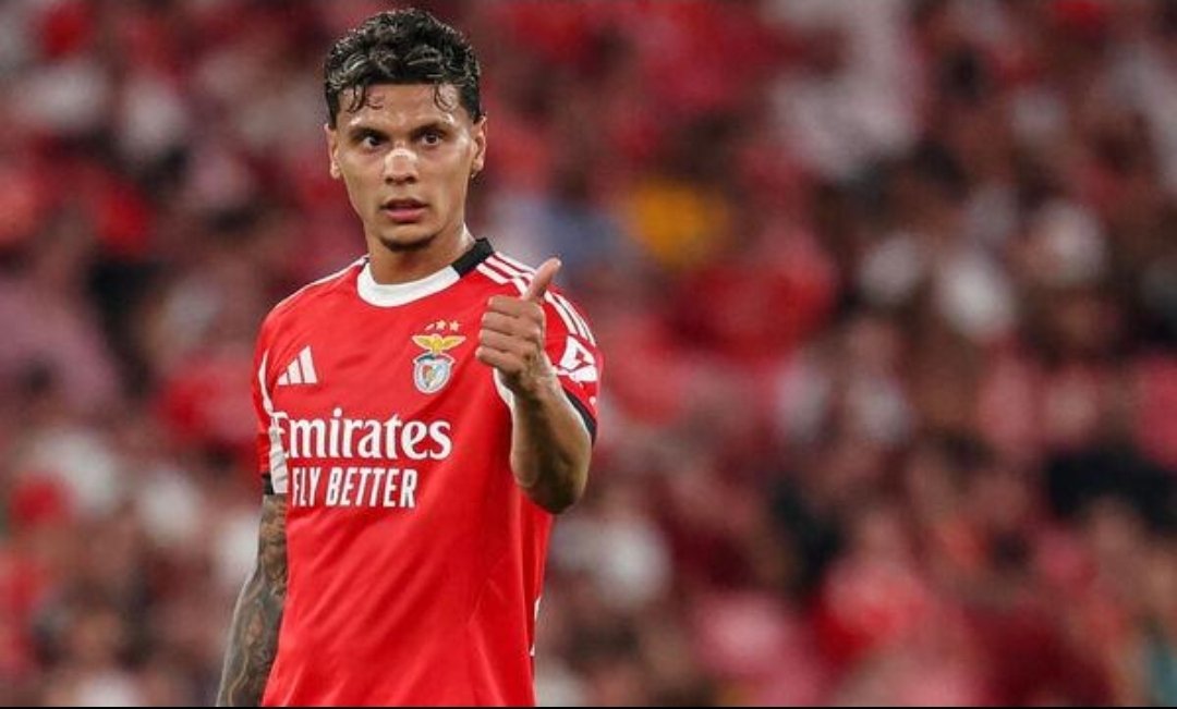 Colombia Scouts 🇨🇴 🏟⚽️ tweet media