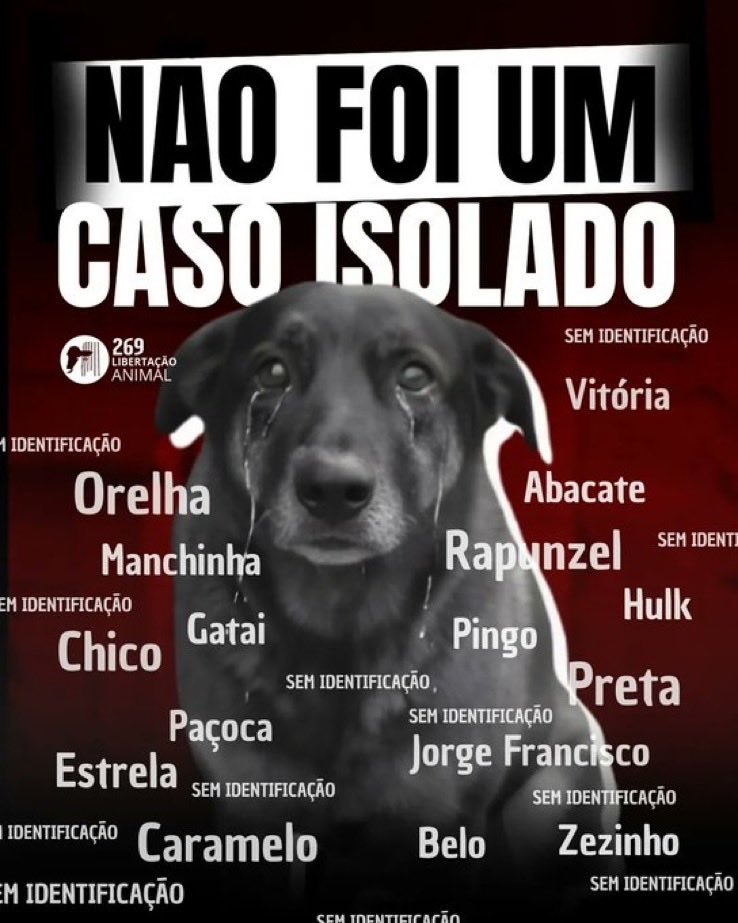 Justiça pelos animais vítimas da violência.