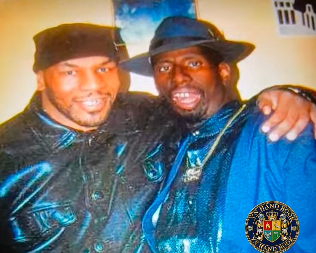 Turtle Shell Global🐢 tweet media