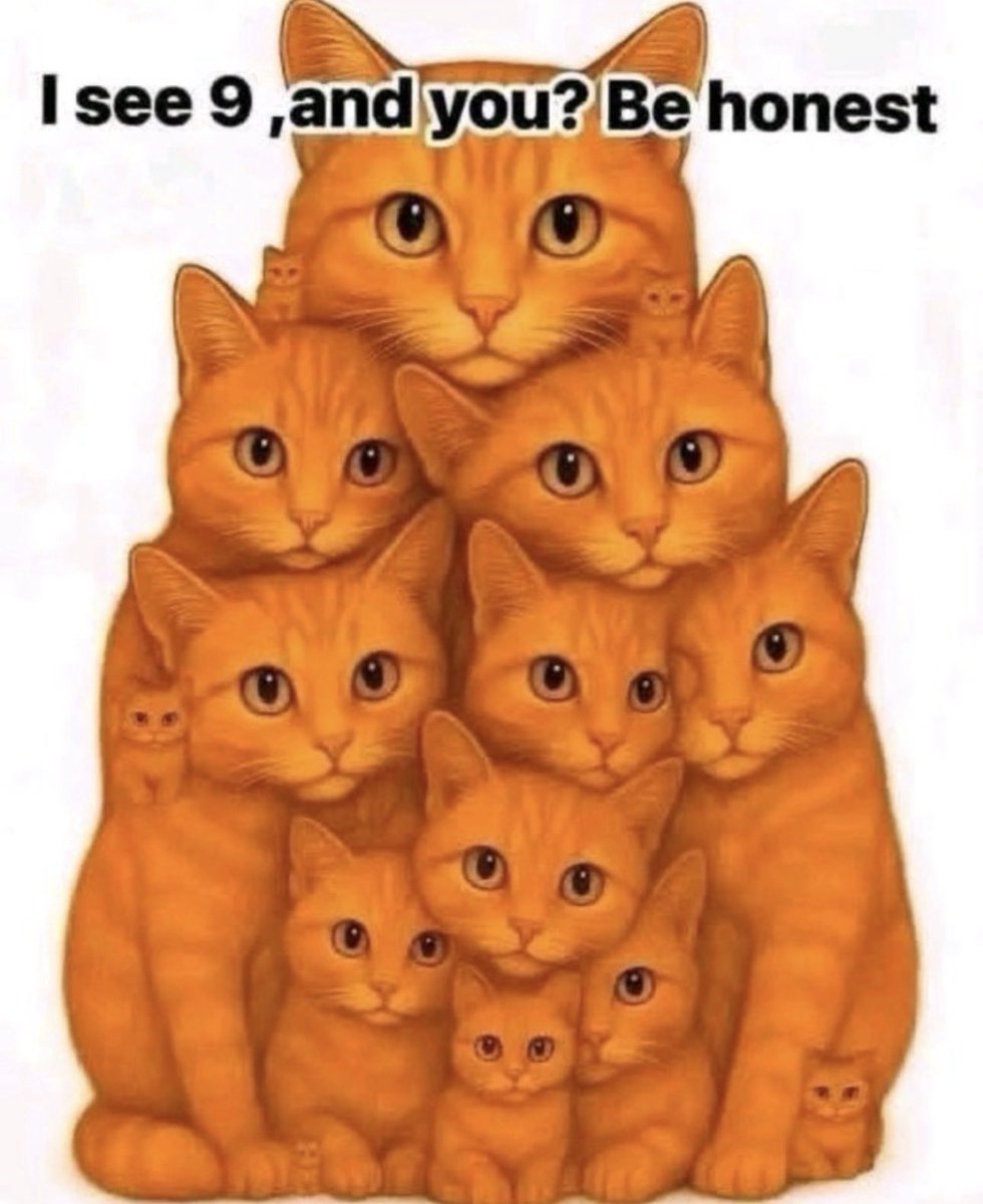 Ahmad Kabir,Ph.D. tweet media