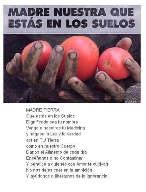 mirza mr (@mirzamr) on Twitter photo 