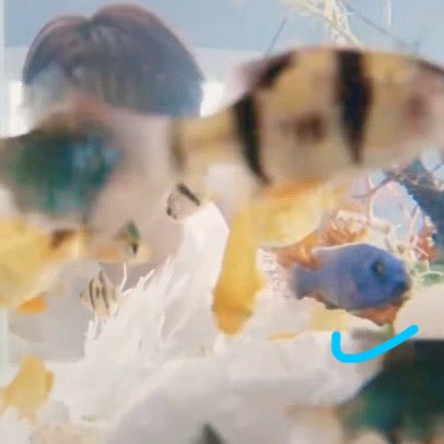 richie 🗡️ yuyaraptor tweet media