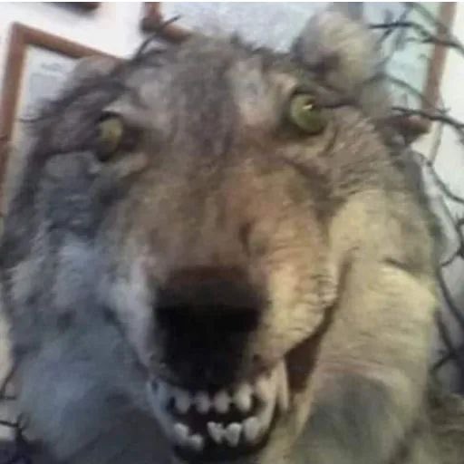 ⋆˚☾Eri tweet media