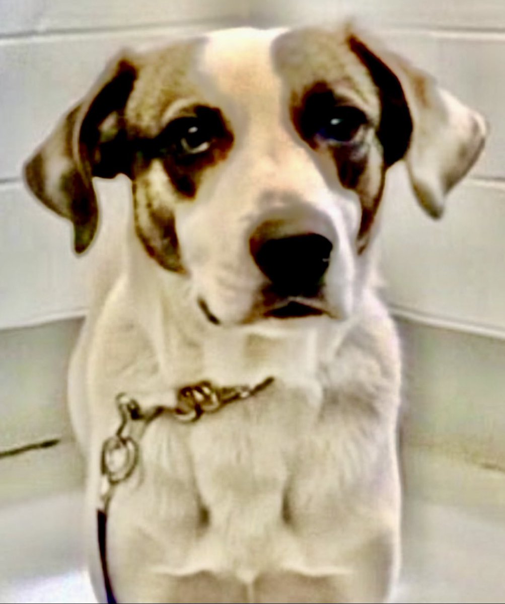 Cheryl Ramirez tweet media