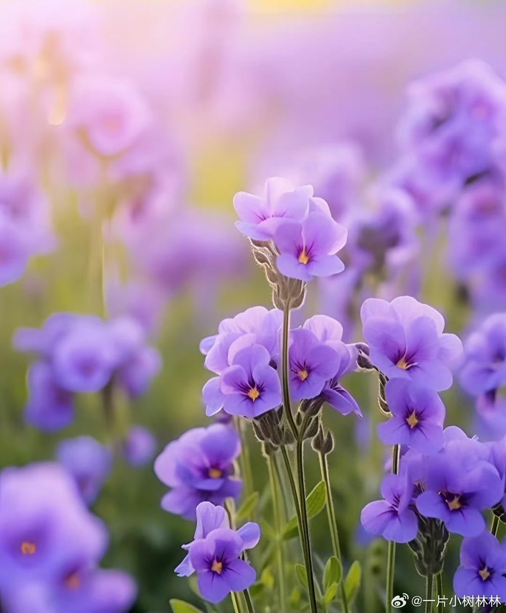 𝓬𝓪𝓻𝓪 tweet media