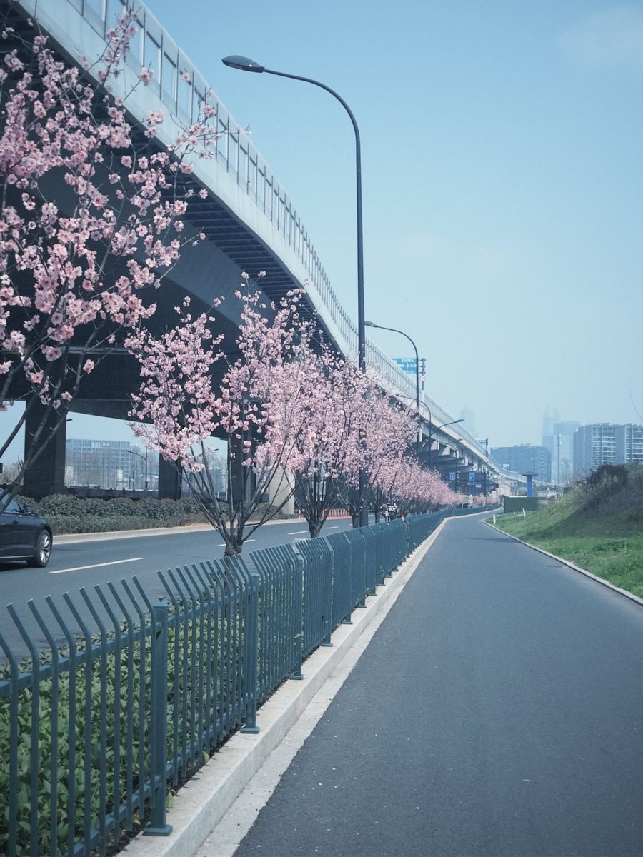 微醺木莓 tweet media