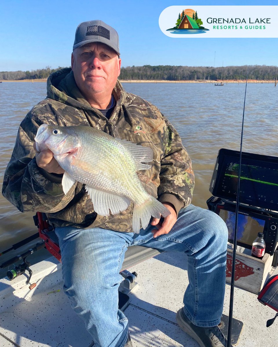 GrenadaResorts's tweet image. Nothing beats spring days on Grenada Lake. 🌞🎣
Grab your gear, bring your crew, and make it a trip to remember at Grenada Lake Resorts.

📍 Plan your trip: grenadalakeresorts.com 

#GrenadaLakeResorts #SpringFishing #GrenadaLake #FishingTrip #LakeDays