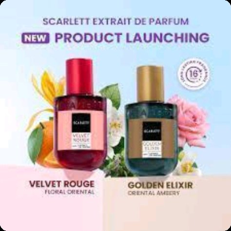 sky moonlight tweet media