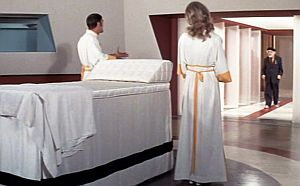 Legio Mariae tweet media