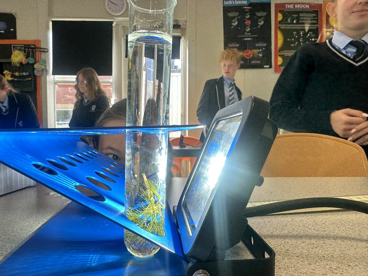 TandyMiss's tweet photo. To most this looks like a piece of weed in a test tube - to @MrsP_SciTech and I, this is revolutionary!! 7 frustrating years of this practical failing us and we FINALLY got it working! Thanks to our alliance school AGS for the tips 🌿🌿🌿
@aa_science @AlcesterAcademy https://t.co/rqNoHcAFh9
