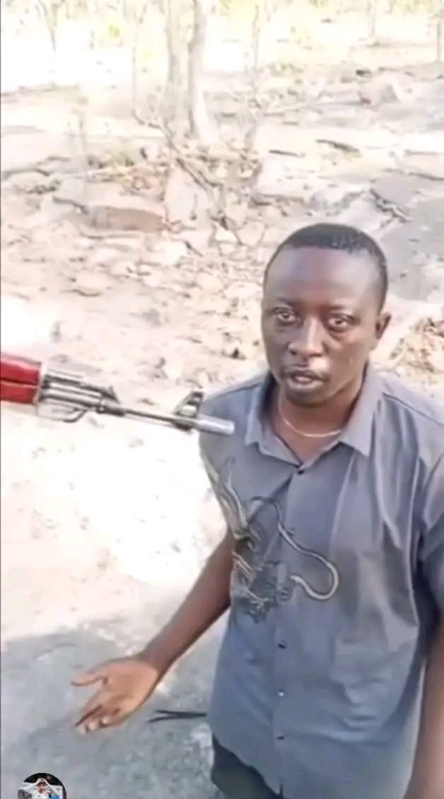 Daoptimist⚓🌊🔥✨ tweet media