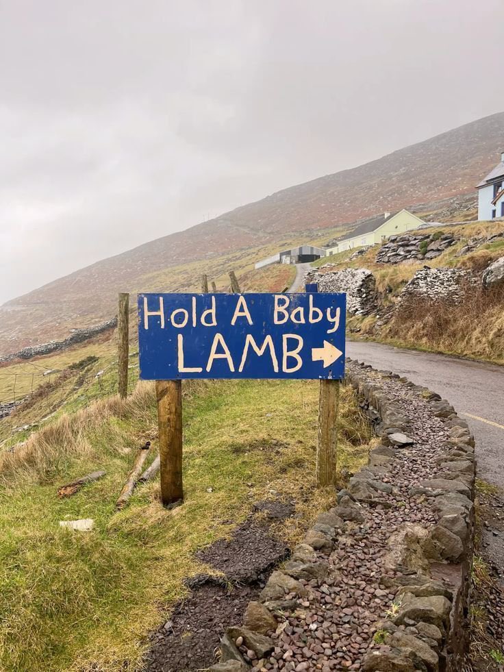 DigitalDaizy's tweet image. Ireland ☕️☘️
#pinterest #x