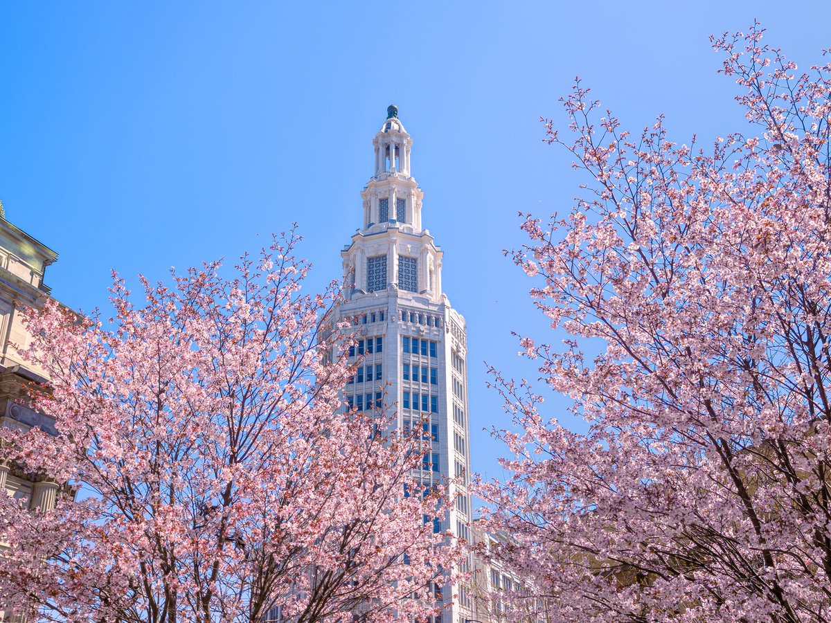 wxcory's tweet image. A gorgeous Spring afternoon in #Buffalo
#EarthDay #cherryblossom #NY #BuffaloNY