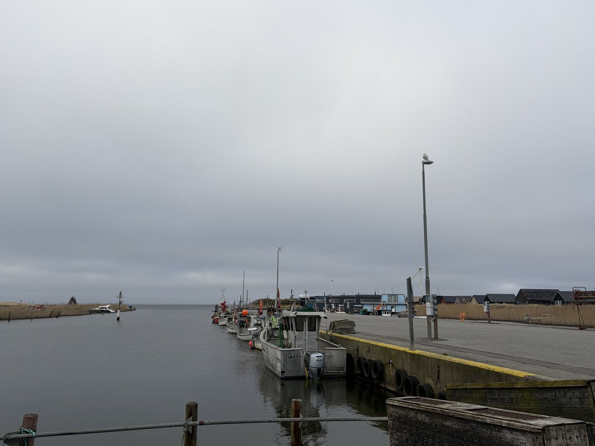 NorwaySkandin's tweet image. #Urlaub #Skandinavien #Dänemark #Danmark #Meerliebe #Nordsee #northsea #Hafen 

Der Himmel war heute bedeckt und es war windig, kaum Leute sind unterwegs.
Es sind viele Deutsche in Hvide Sande und machen Urlaub.