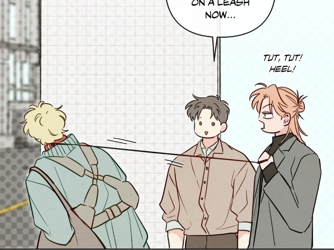🪼Blond Superman🪼||Xie Qingcheng simp 🍑 tweet media