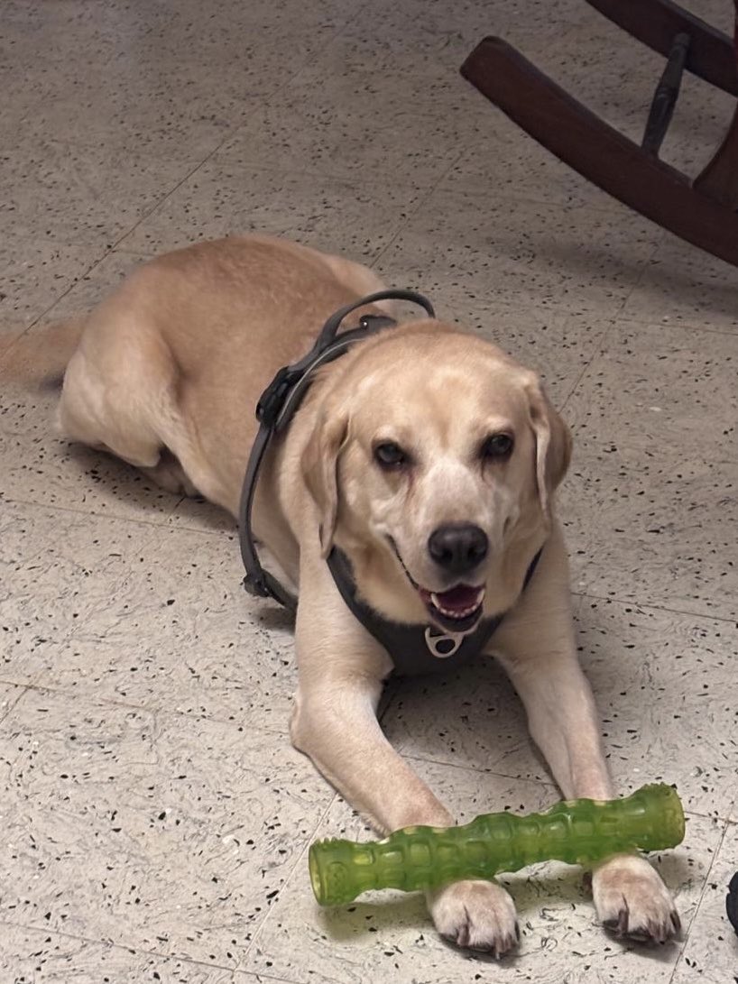 Tanvi Dubey tweet media