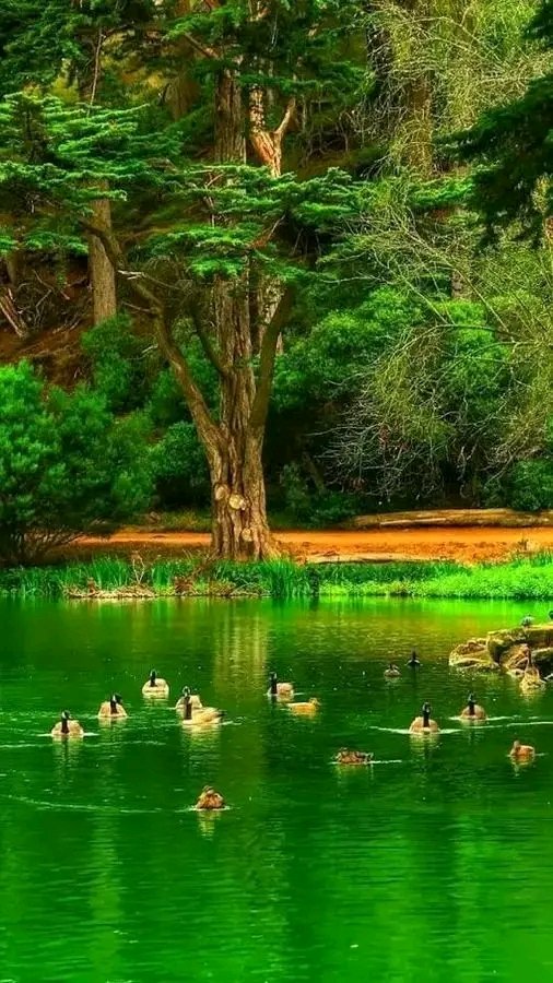 HossainAnamika's tweet image. #tuesday