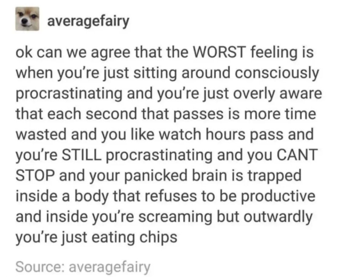 ADHD Memes tweet media