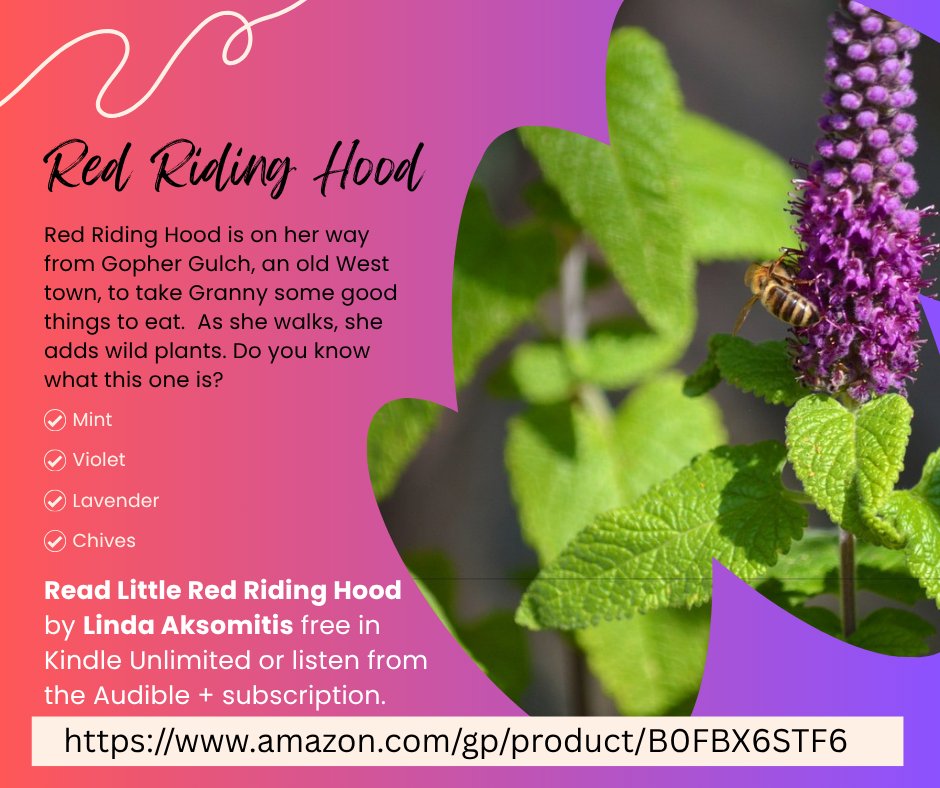 aksomitis's tweet image. What wild plants can we eat? One that Red Riding Hood adds to her basket of goodies is below. Do you know what it is? Get the answer in the comments!

If you have #KU or #Audible + get the whole story #free on Amazon! #kidlit #fairytales #oldwest

amazon.com/gp/product/B0F…
