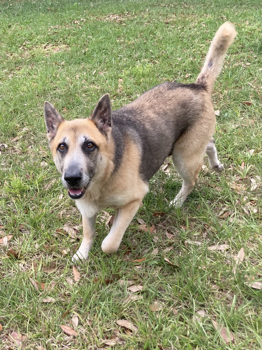 dahhne𖧵 tweet media