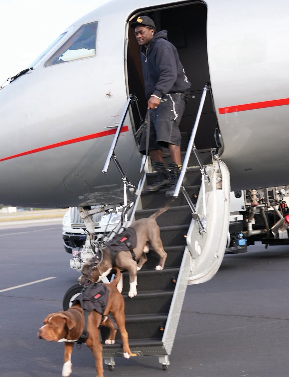 49ers & NFL News 24/7 tweet media