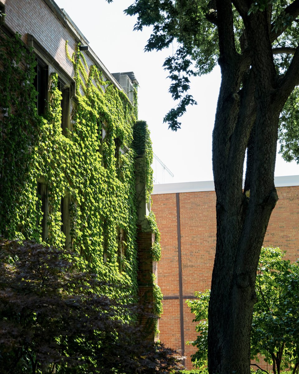 University of Illinois Chicago tweet media