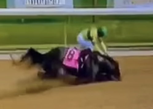 BeazForver's tweet photo. @AB40766668888 @LightUpRacing @ABRLive @santaanitapark @paulickreport @theTDN @BloodHorse @AmplifyRacing Or Maple Leaf Mel https://t.co/yXQwYK8KYl