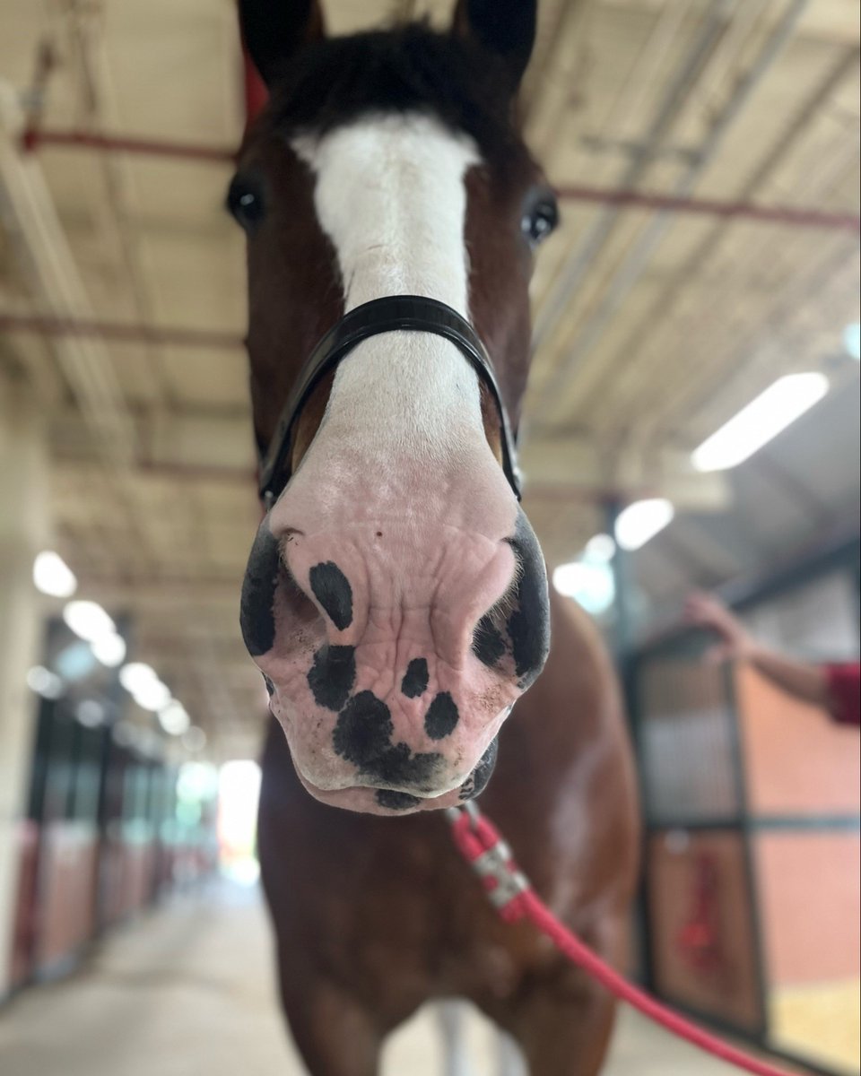 Warm Springs Ranch tweet media