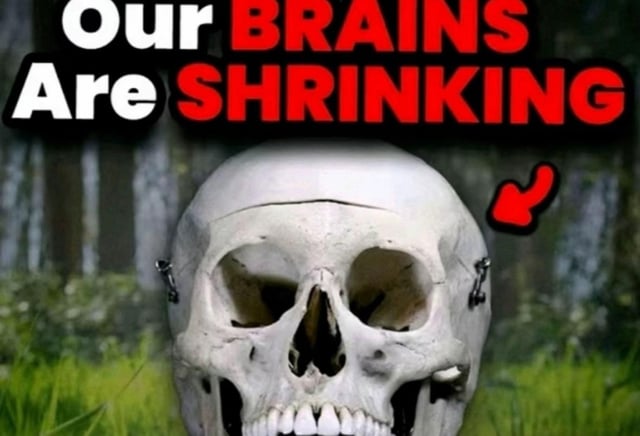 The Artist, Formerly Known, Never Worn tweet media