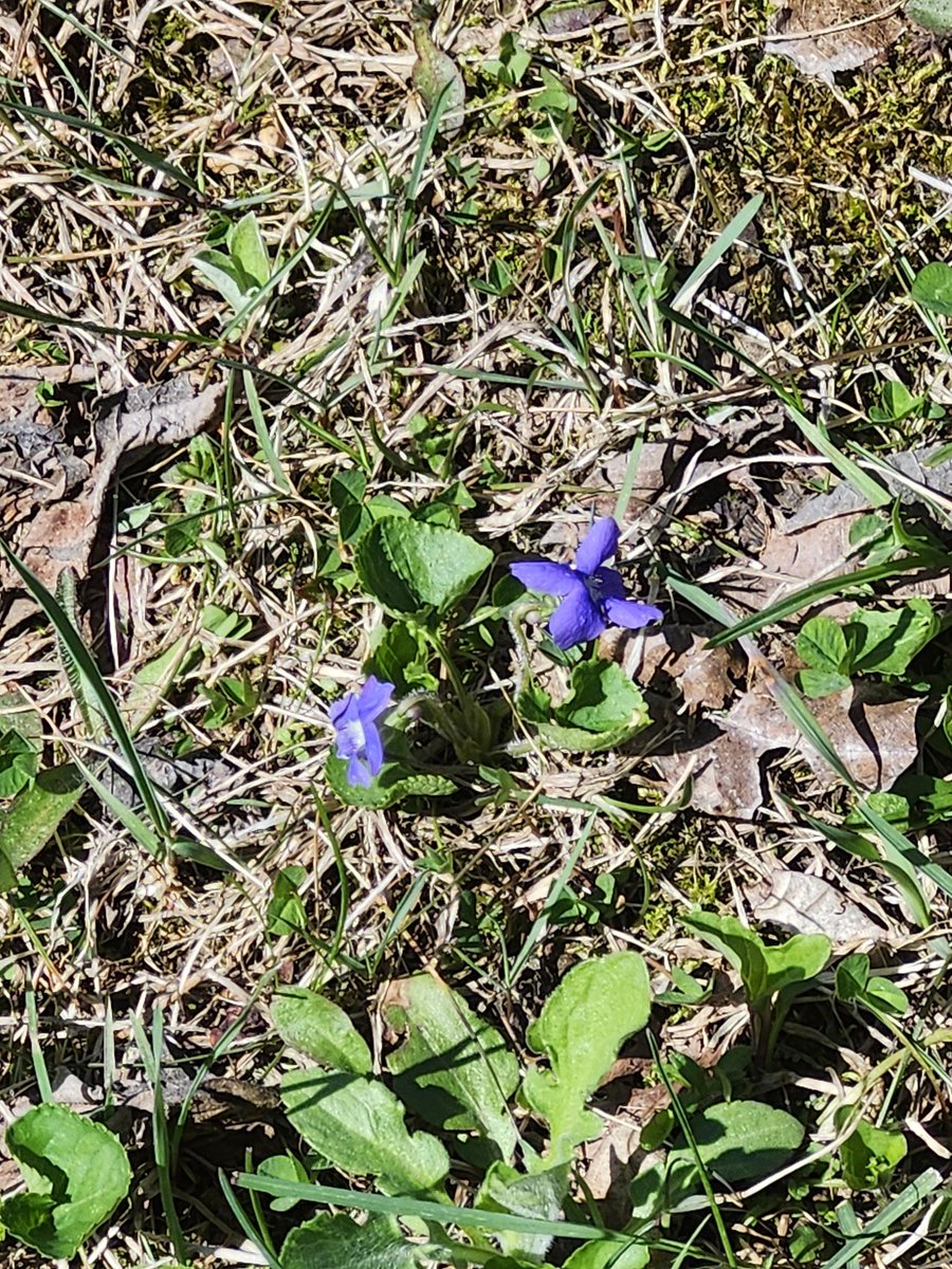 Laura J Drake tweet media