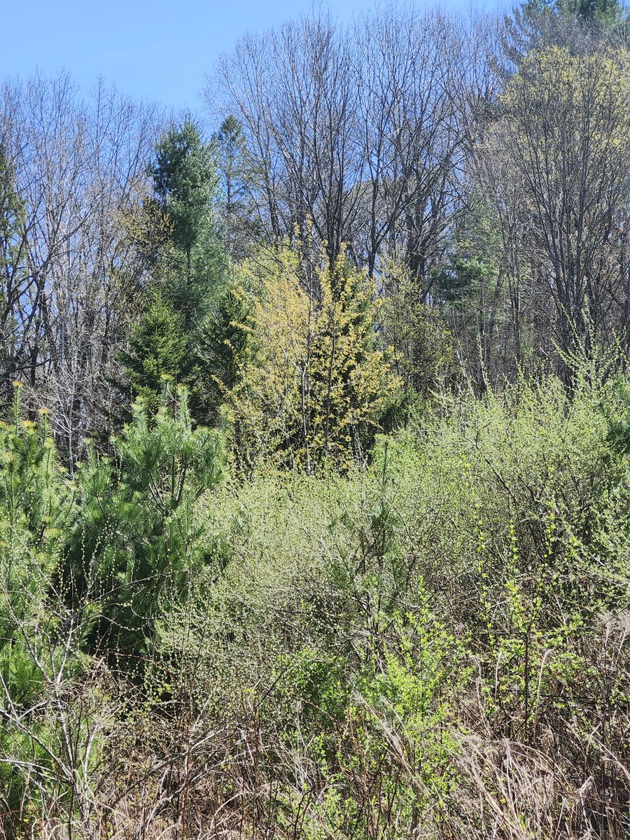 Laura J Drake tweet media