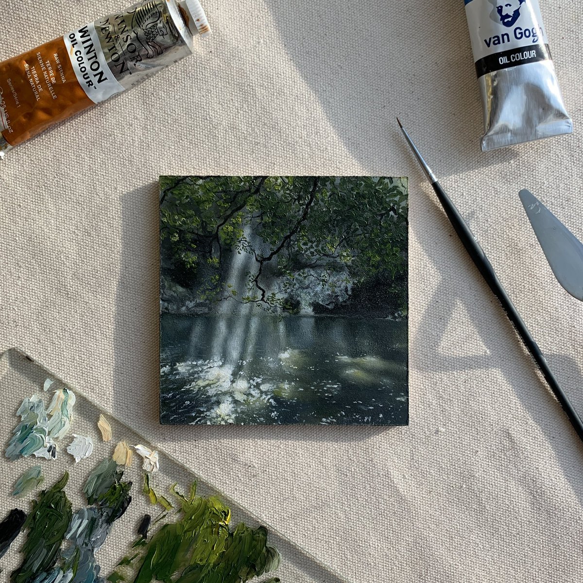 fattu 𓆤 tweet media