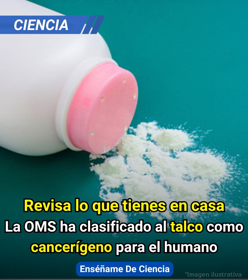 Enséñame de Ciencia tweet media