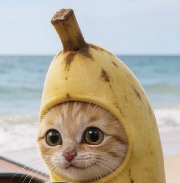 L£O🐢 tweet media